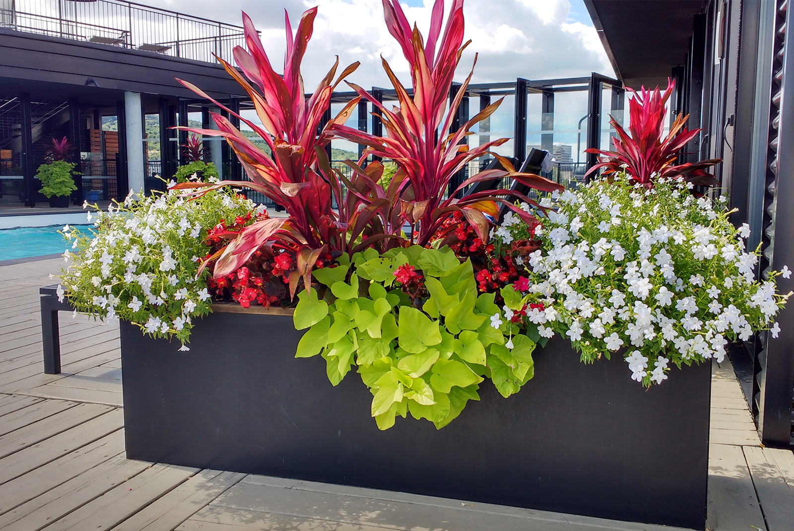 Aménagement floral pour Terrasses et Bacs à fleurs